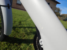 Load image into Gallery viewer, Eovolt Evening 24" Origins Electric Bike (Ex Display Bike)