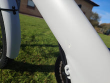 Load image into Gallery viewer, Eovolt Evening 24&quot; Origins  Electric Bike (Ex Display Bike)
