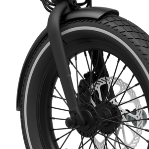 Eovolt 16" Front Fork - Black